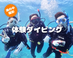 石垣島体験ダイビング