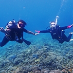 ダイビング写真